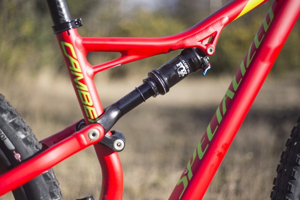 Specialized Camber frame