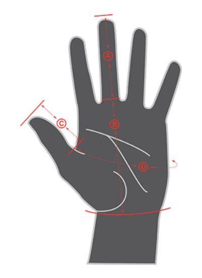 Illustration showing hand measurements of Specialized Mens Gloves