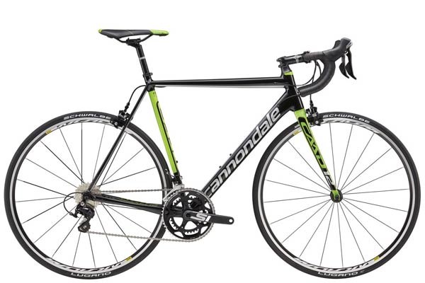 tredz road bikes