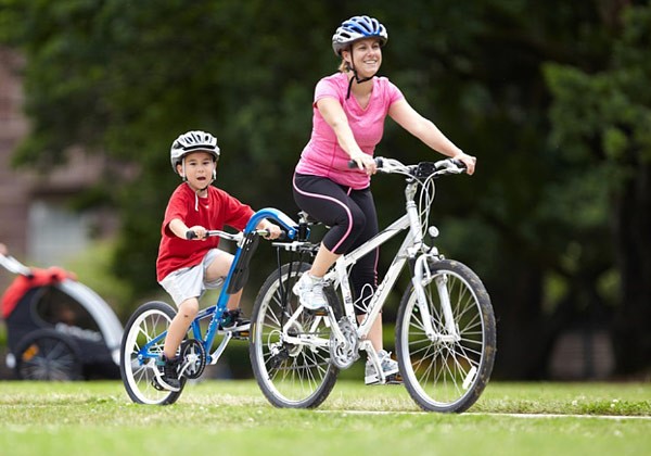 tag along bike seat