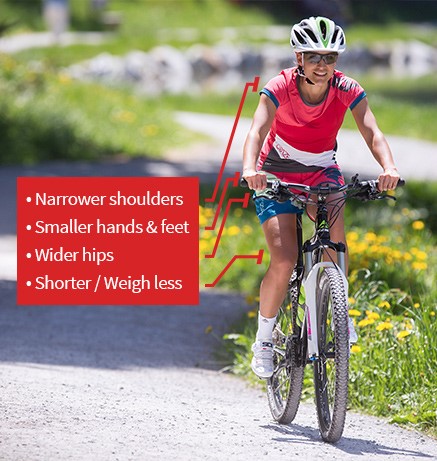 Image illustrating the general key anatomical features of a women and how they relate to women bikes