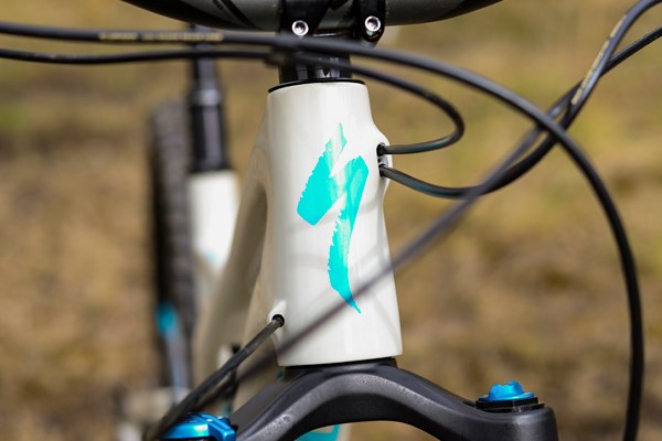 Specialized Stumpjumper head tube cable entry detail