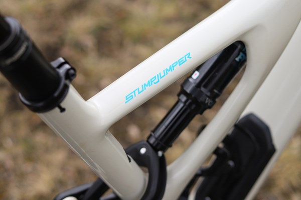 Specialized Stumpjumper sidearm detail