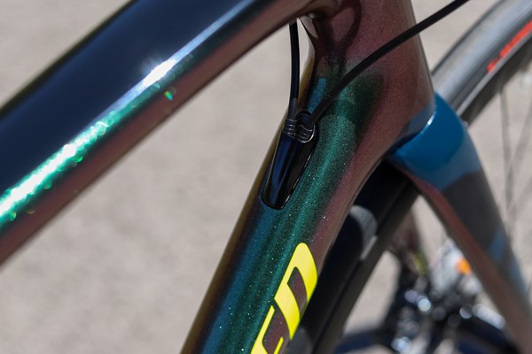 Specialized Tarmac frame detail