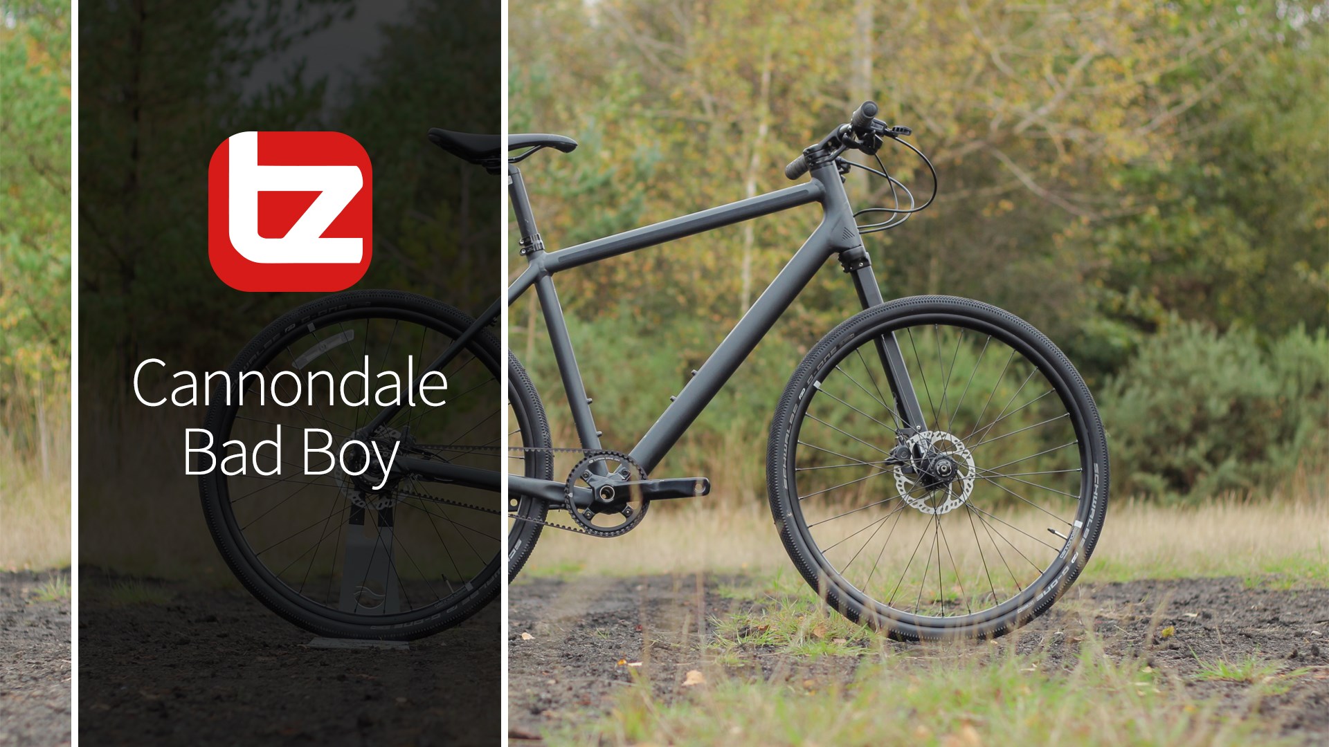 cannondale bad boy hybrid bike
