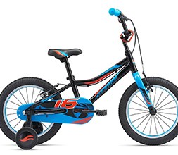 giant 24 inch kids bike