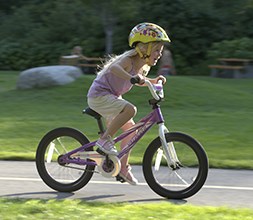 16 Inch Specialized Kids Bikes