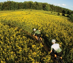 riding Norco bikes through a field