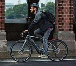 Giant Electric Urban Bikes