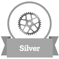 silver servicing graphic