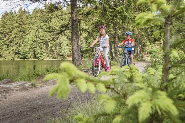 Two kids ride their bikes through a woodland trail