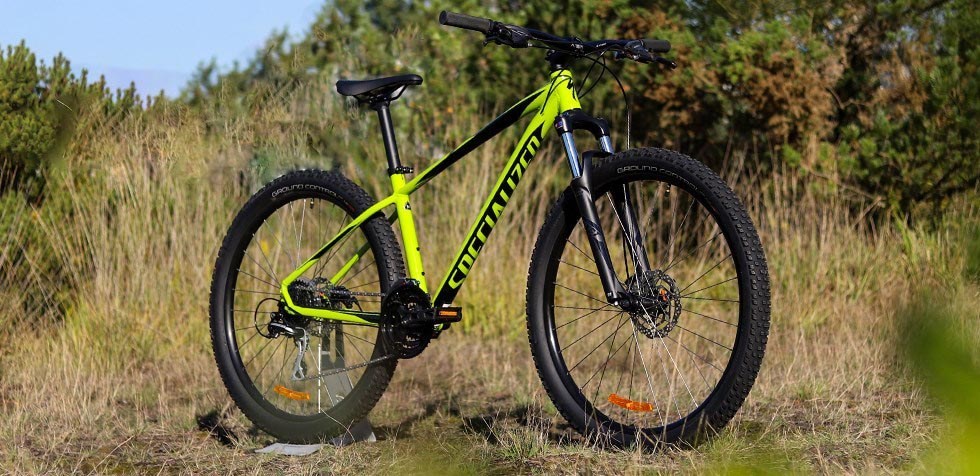 Green background They are Lunar New Year Specialized Pitch Review | Tredz Bikes