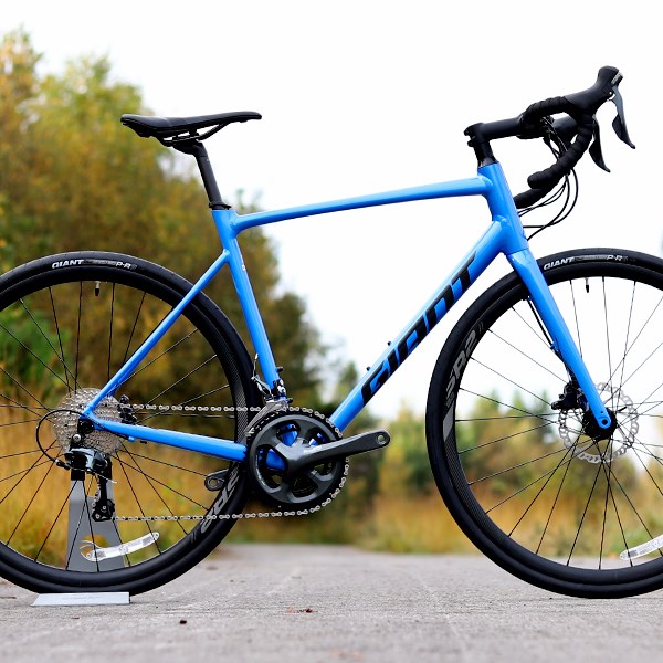 giant contend sl1 2019
