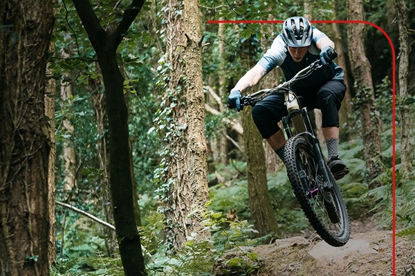 A mountain biker riding through forest trails