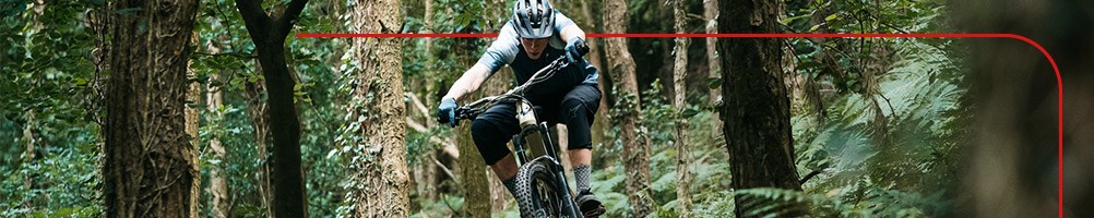A mountain biker riding through forest trails