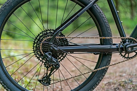 Rear wheel of a mountain bike