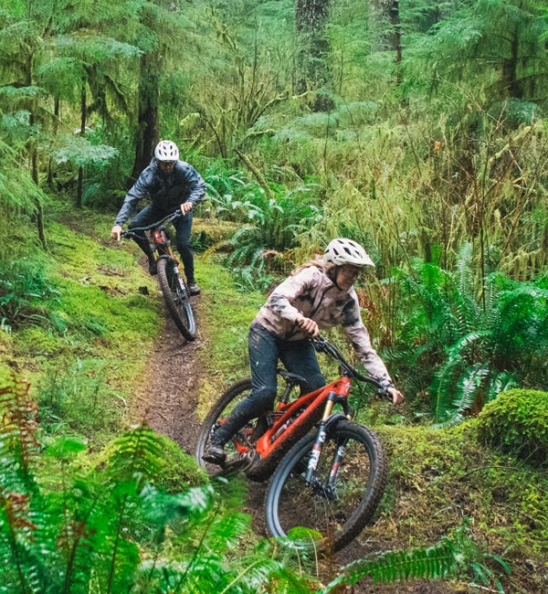 Two mtb riders in the woods on turbo levos