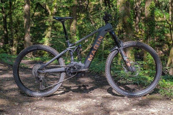 Marin Alpine Trail E2 in the woods 