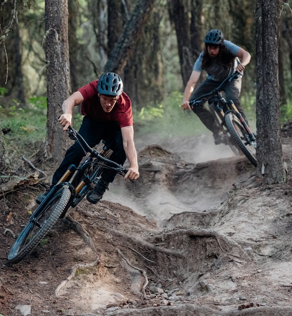 specialized stumpjumper downhill