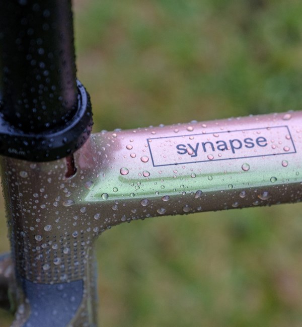 Cannondale syanpse frame