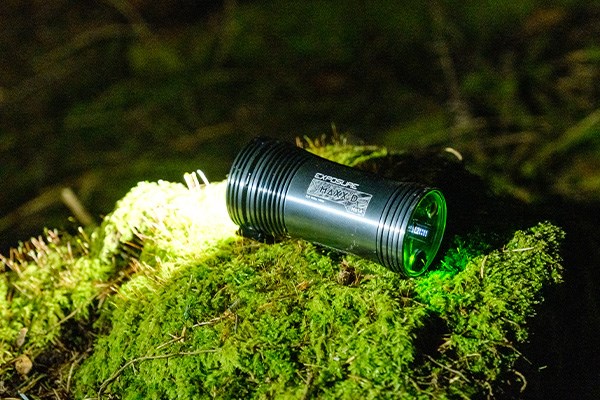 Exposure Maxx-D tree stump moss at night