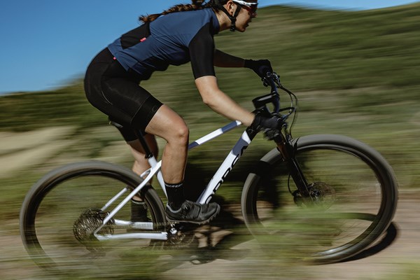 best carbon mountain bike