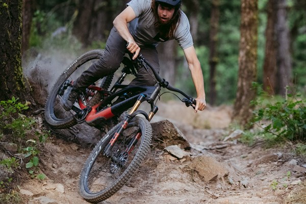 best carbon mountain bike