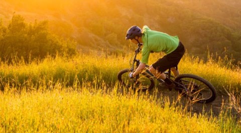 Nearly New Bikes - In Focus