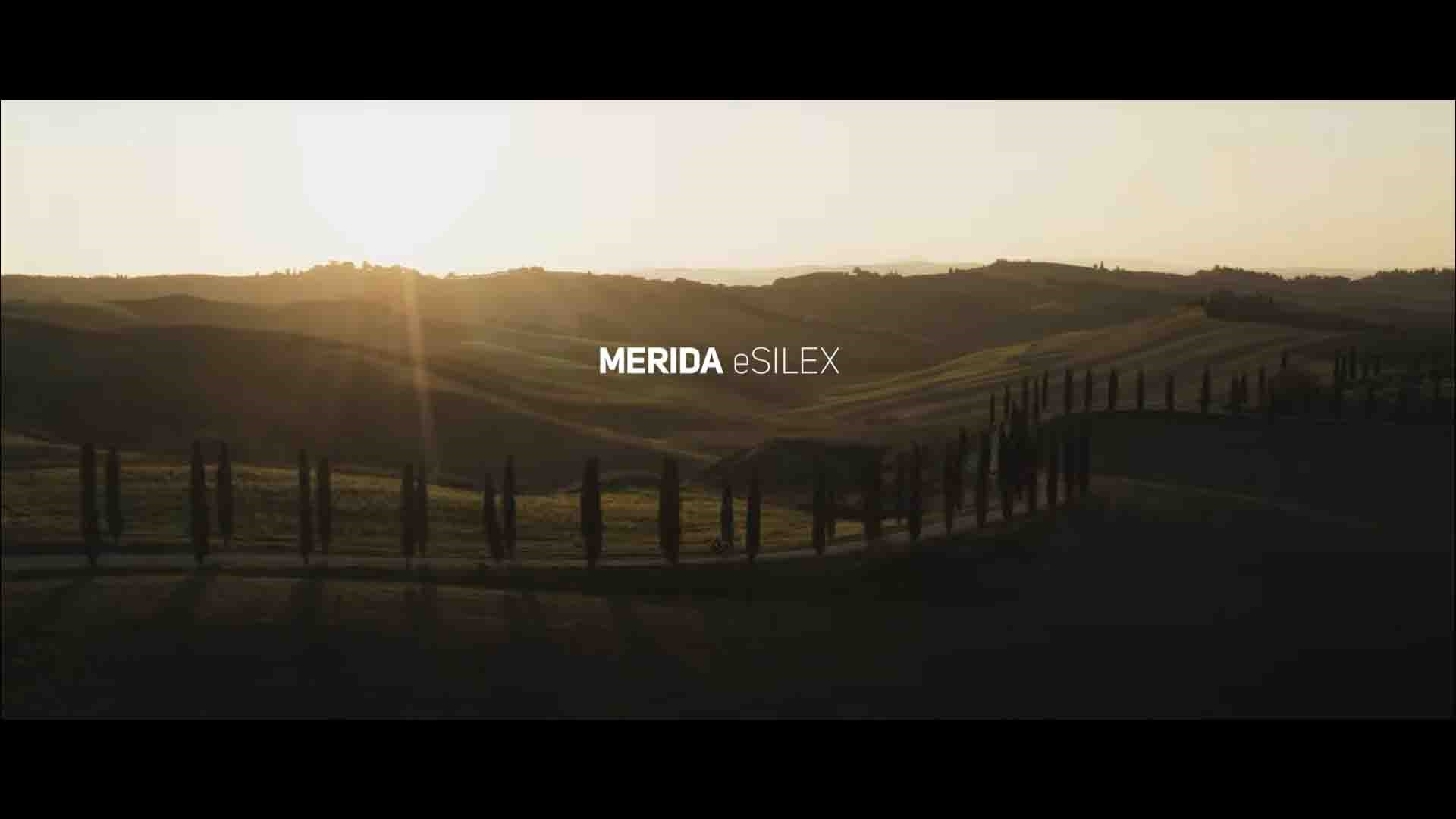 The new eSILEX – e-discover the path unknown