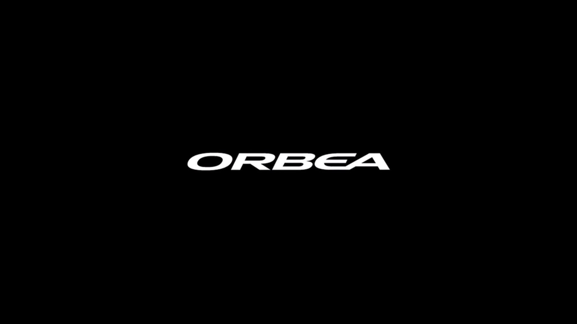 Orbea Rise M-LTD 29