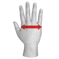 hand circumference