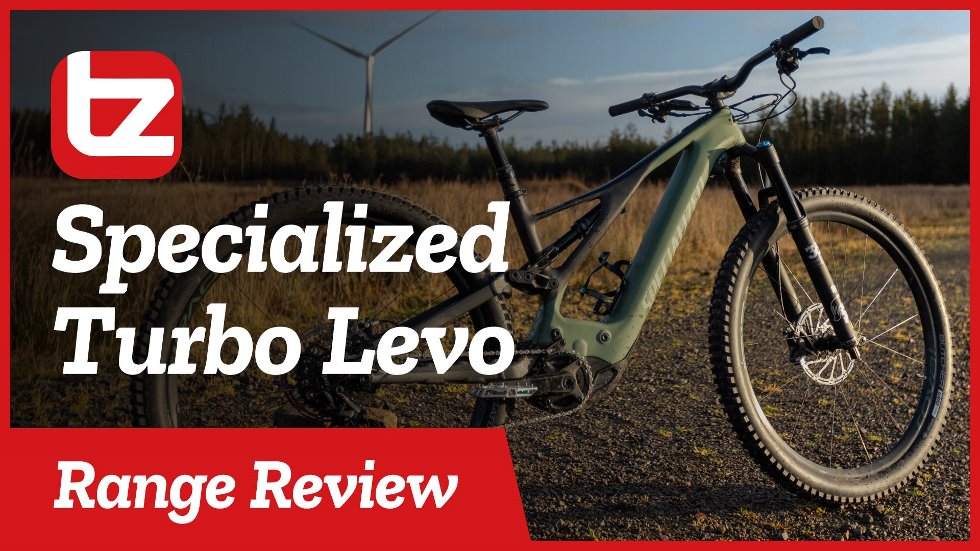 specialized turbo levo 29