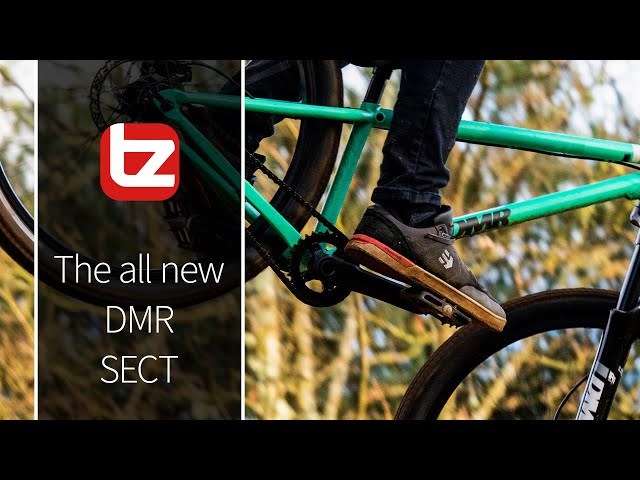 dmr sect 2020