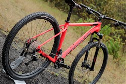 cannondale trail 3 1x 2019