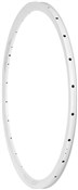 Halo Devaura Disc 700c Aero Road Rim