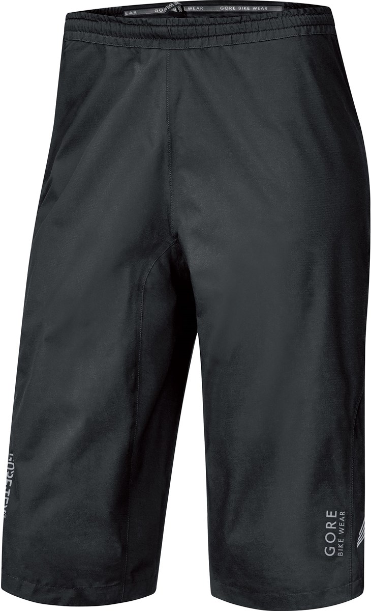 Gore Element Gt Paclite Shorts SS17 product image
