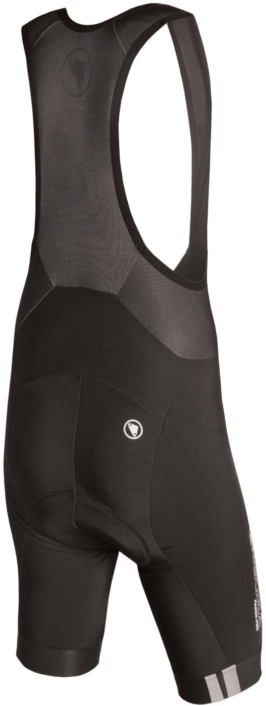 FS260-Pro Thermo Cycling Bibshorts - 600 Series Pad image 1