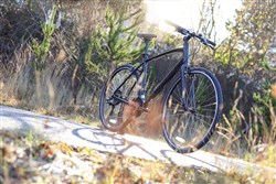 specialized sirrus alloy 2019
