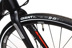 Giant Rapid 1
