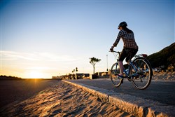 Ridgeback Avenida 21 Open Frame Womens 2019 - Hybrid Sports Bike