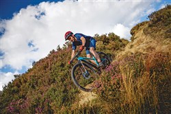Genesis Mantle 30 29er Mountain Bike 2019 - Hardtail MTB