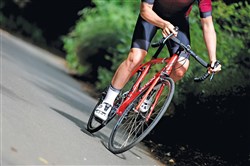 Genesis Delta 20 2019 - Road Bike