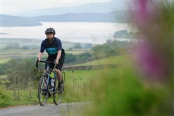 Genesis Tour De Fer 30 2019 - Touring Bike