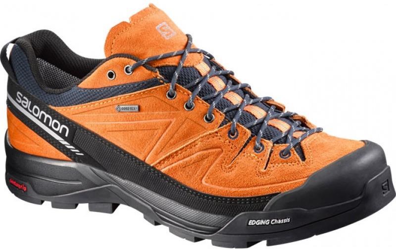 Salomon X Alp LTR GTX Mountain / Trail Shoes product image