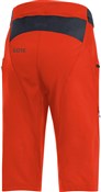 Gore C5 All Mountain Shorts