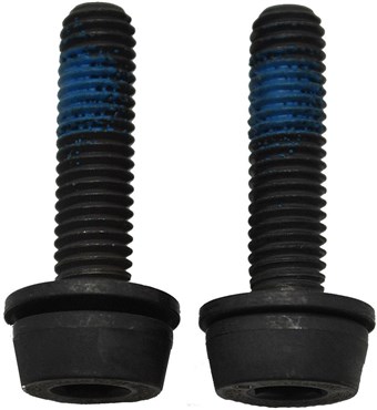 Campagnolo Rear Mount Screws