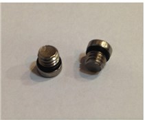 Avid Reservoir Bleed Screw/O-Ring Stainless (20 Pcs)
