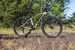 Specialized Rockhopper Comp 29er Mountain Bike 2019 - Hardtail MTB