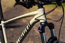 Specialized Rockhopper Comp 29er Mountain Bike 2019 - Hardtail MTB