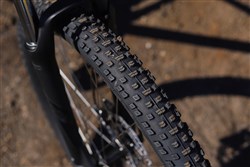 Specialized Rockhopper Comp 29er Mountain Bike 2019 - Hardtail MTB